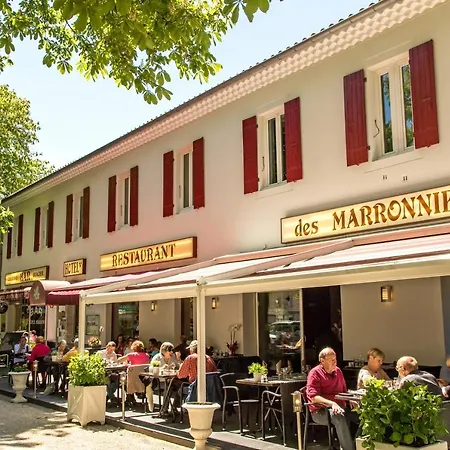 Les Marronniers 酒店 3*