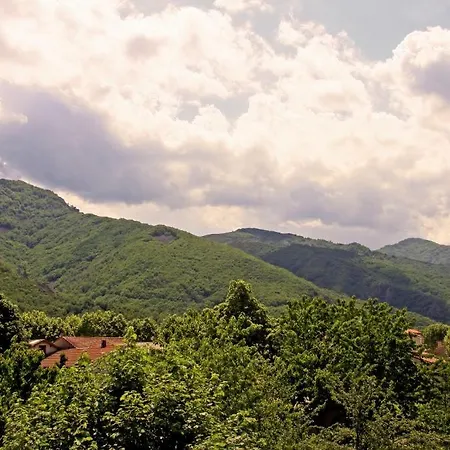 Hotel Les Marronniers